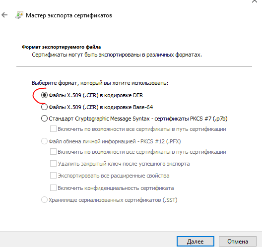 image-1706189112473.png
